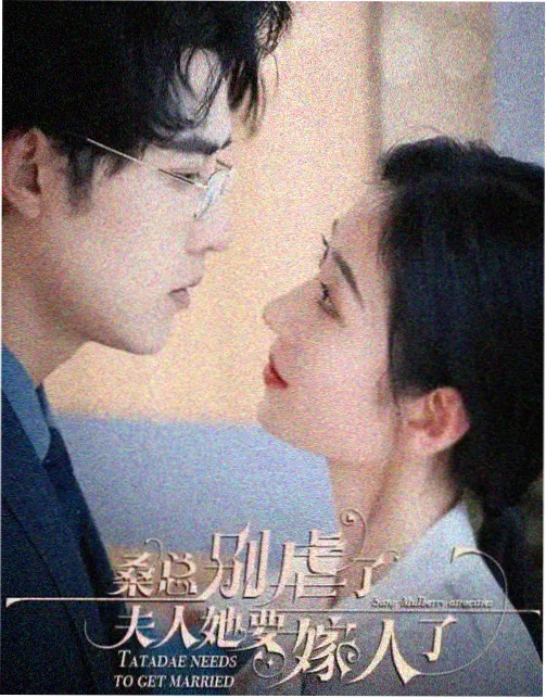 雾港追凶 剧集封面