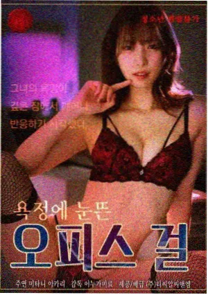 夜航西飞 剧集封面